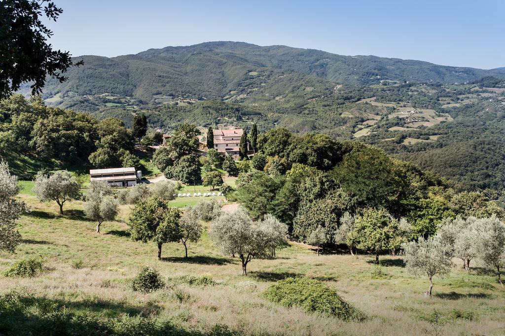 Agriturismo Di Baroni Enzo Dicomano Buitenkant foto