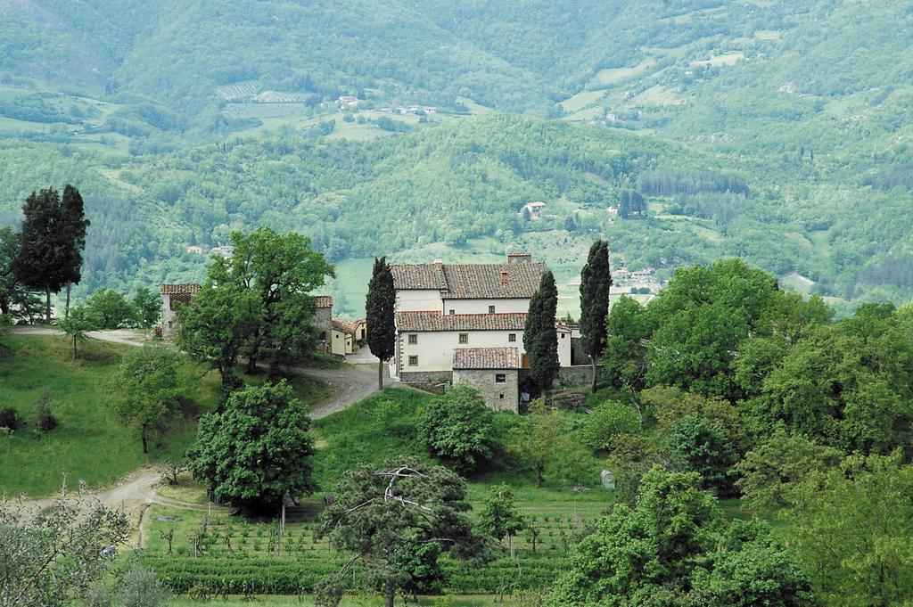 Agriturismo Di Baroni Enzo Dicomano Buitenkant foto